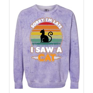 I Saw A Cat Colorblast Crewneck Sweatshirt