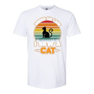 I Saw A Cat Softstyle CVC T-Shirt