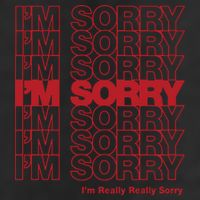 I'm Sorry Bag 25L Jumbo Tote