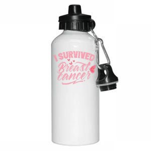 I Survived Breast Cancer Pink Support Fight Breast Cancer Gift Aluminum Water Bottle