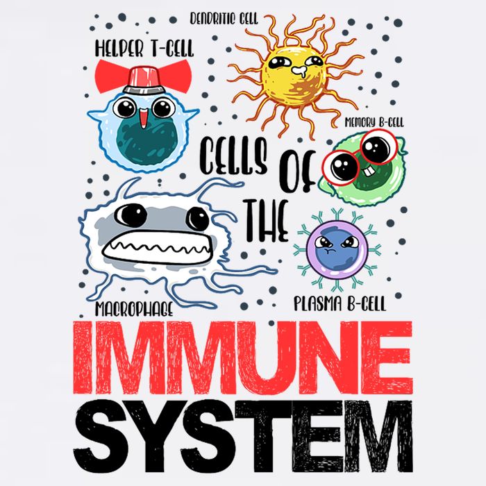Immune System Cells Biology Cell Science Humor Womens T-Shirt