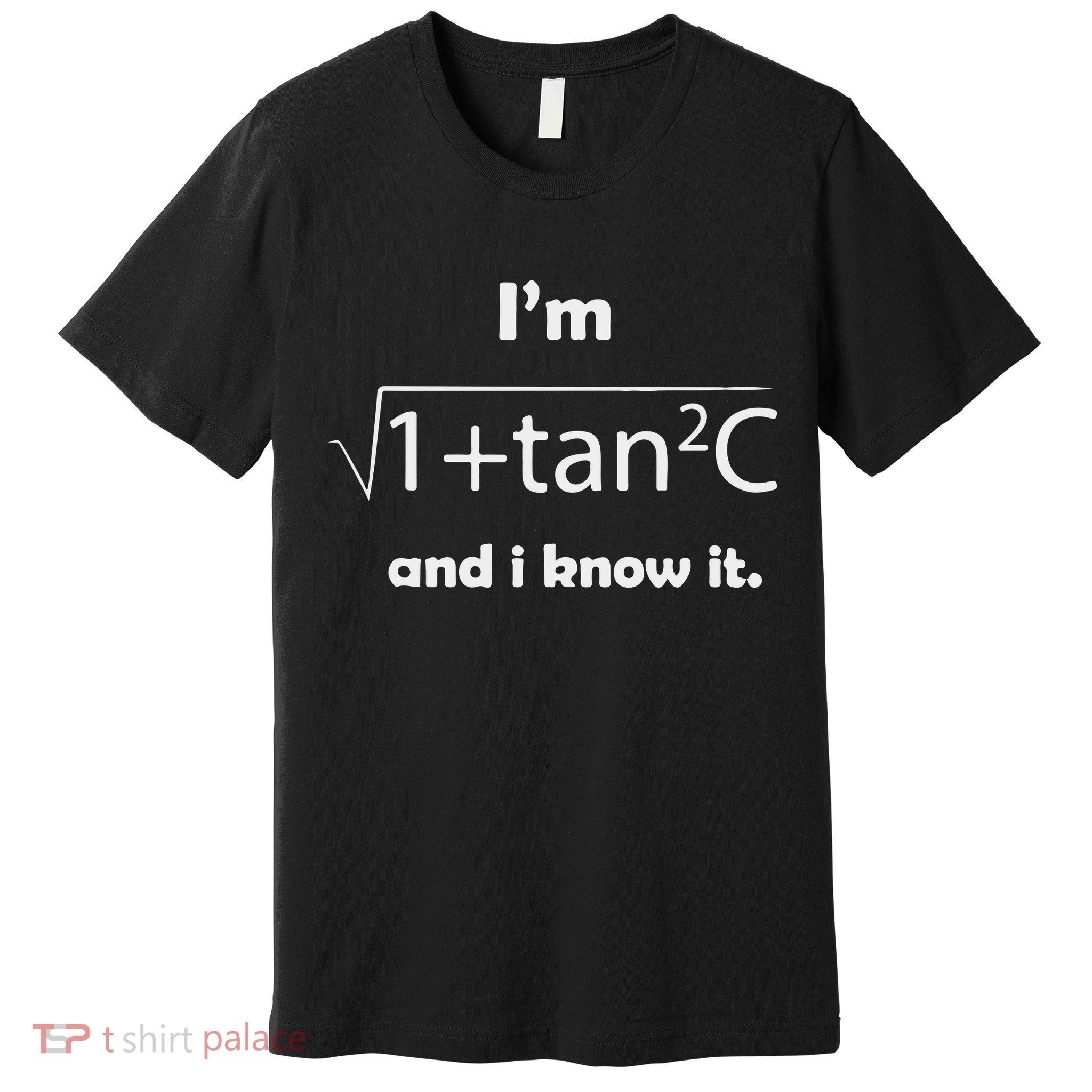 I’M Sec C And I Know It Funny Sexy Math Humor Premium T-Shirt