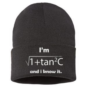 I’M Sec C And I Know It Funny Sexy Math Humor Sustainable Knit Beanie