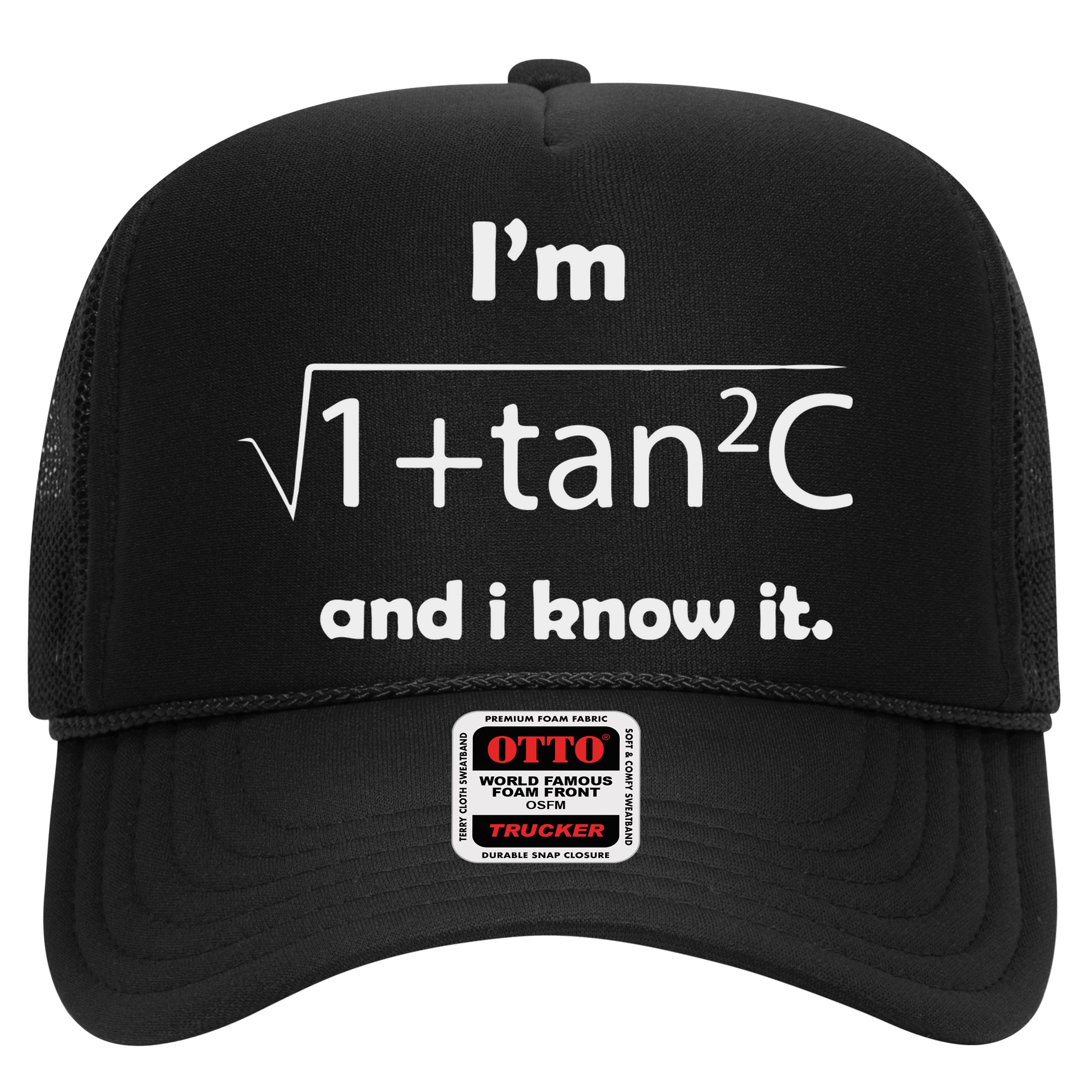 I’M Sec C And I Know It Funny Sexy Math Humor Hat
