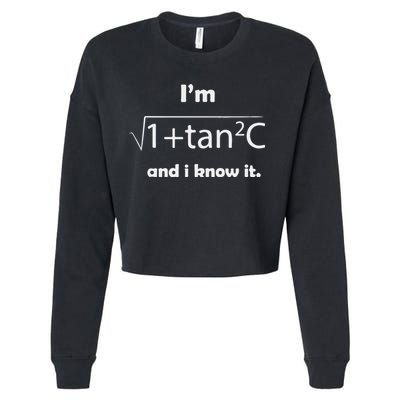 I’M Sec C And I Know It Funny Sexy Math Humor Cropped Pullover Crew