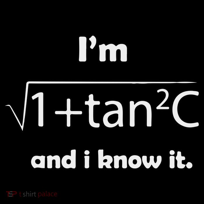 I’M Sec C And I Know It Funny Sexy Math Humor Womens T-Shirt