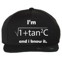 I’M Sec C And I Know It Funny Sexy Math Humor Wool Snapback Cap