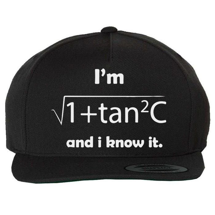 I’M Sec C And I Know It Funny Sexy Math Humor Wool Snapback Cap