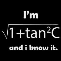 I’M Sec C And I Know It Funny Sexy Math Humor Wool Snapback Cap