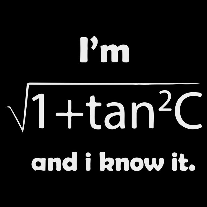 I’M Sec C And I Know It Funny Sexy Math Humor Wool Snapback Cap
