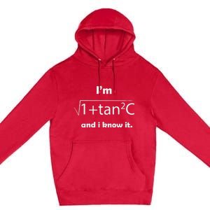 I’M Sec C And I Know It Funny Sexy Math Humor Premium Pullover Hoodie