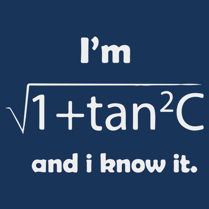 I’M Sec C And I Know It Funny Sexy Math Humor Infant Baby Jersey Bodysuit