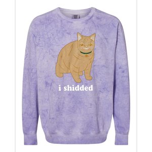 I Shidded Cat Funny Colorblast Crewneck Sweatshirt