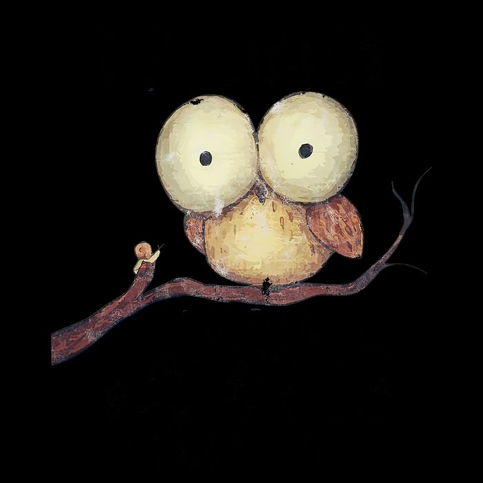 IM Sorry Did I Roll My Eyes Out Loud Funny Owl Lover Flat Bill Trucker Hat