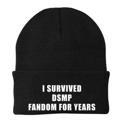 I Survived Dsmp Fandom For Years Beanie