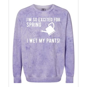 Im So Excited For Spring I Wet My Pants Funny Colorblast Crewneck Sweatshirt