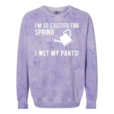 Im So Excited For Spring I Wet My Pants Funny Colorblast Crewneck Sweatshirt