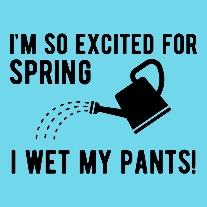 Im So Excited For Spring I Wet My Pants Funny T-Shirt