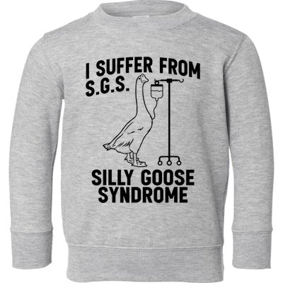 I Suffer From Silly Goose Syndrome Funny Goose Joke Humor Toddler Sweatshirt