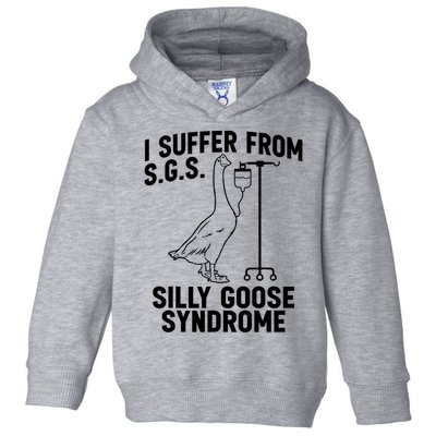 I Suffer From Silly Goose Syndrome Funny Goose Joke Humor Toddler Hoodie