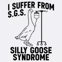 I Suffer From Silly Goose Syndrome Funny Goose Joke Humor Sustainable Bucket Hat