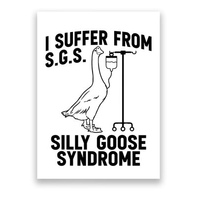 I Suffer From Silly Goose Syndrome Funny Goose Joke Humor Poster