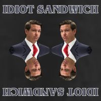 Idiot Sandwich Funny Ron DaSantis Politcal 7 Panel Mesh Trucker Snapback Hat