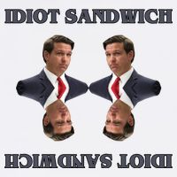 Idiot Sandwich Funny Ron DaSantis Politcal 11oz C Handle Ceramic Mug