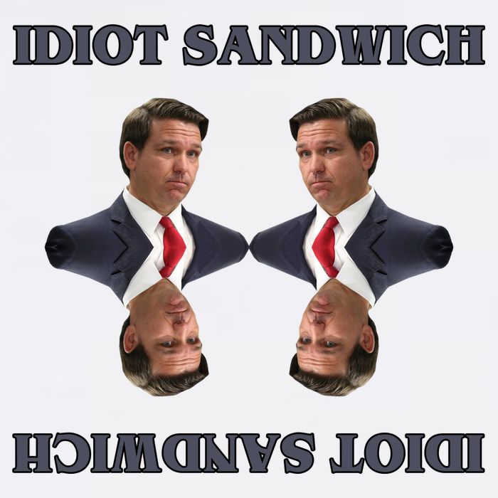 Idiot Sandwich Funny Ron DaSantis Politcal 11oz C Handle Ceramic Mug