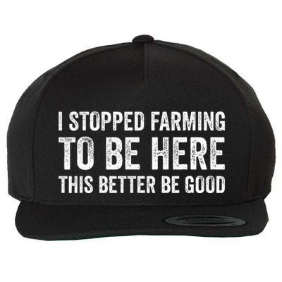 I Stopped Farming To Be Here This Better Be Good Wool Snapback Cap