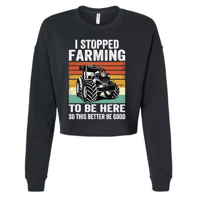 I Stopped Farming To Be Here This Better Be Good Vintage Cropped Pullover Crew