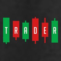Investor Stock Forex Market Currency Trader Gift T V2 Beanie