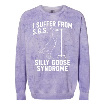 I Suffer From Silly Goose Syndrome Funny Goose Joke Humor Colorblast Crewneck Sweatshirt