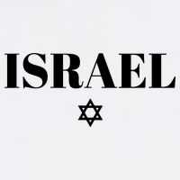 Israel Star Flag Blue Israel Toddler T-Shirt