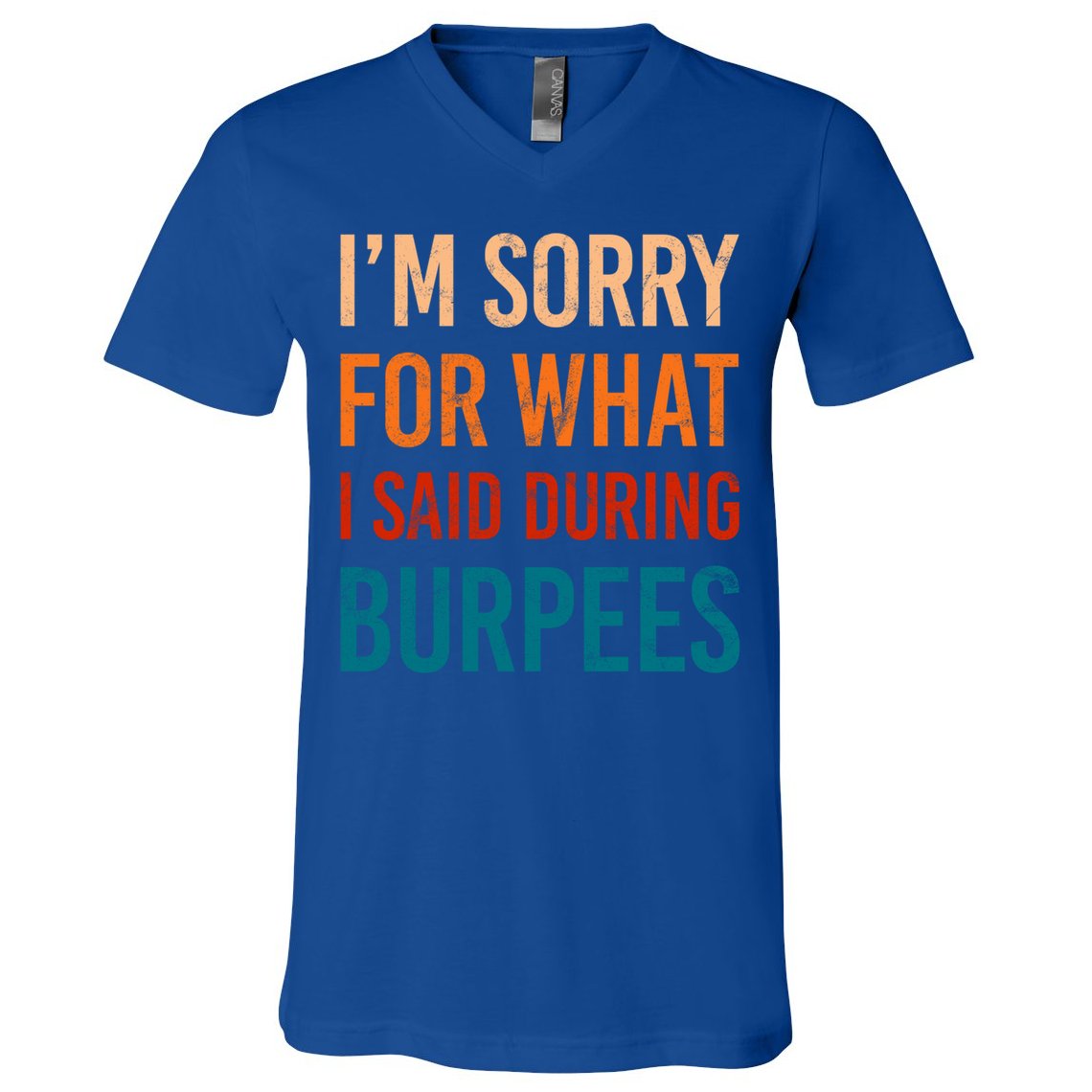 I'm Sorry For What I Said During Burpees Workout Junkees Cool Gift V-Neck T-Shirt