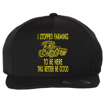 I Stopped Farming To Be Here This Better Be Good Wool Snapback Cap