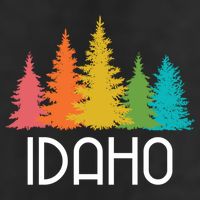 Idaho State Gift 11oz C Handle Ceramic Mug