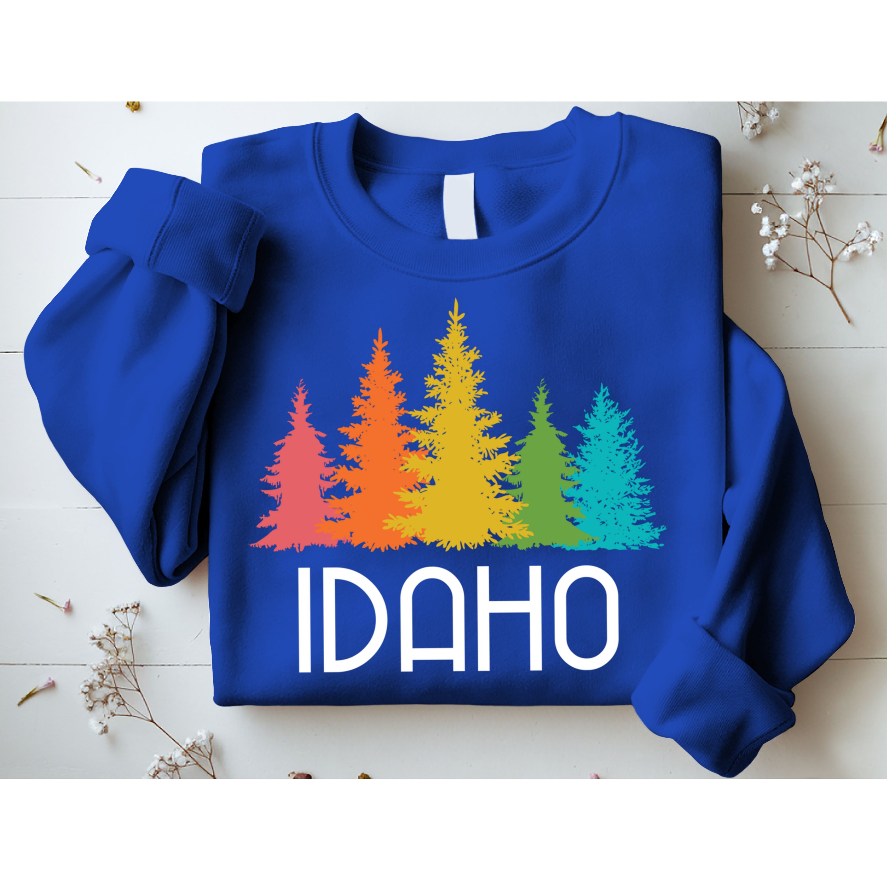 Idaho State Gift Sweatshirt