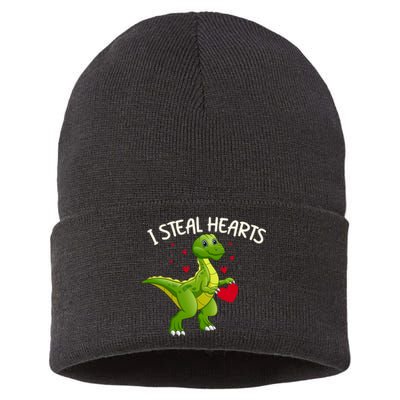 I Steal Hearts Valentine's Day Funny Sustainable Knit Beanie