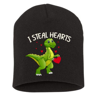 I Steal Hearts Valentine's Day Funny Short Acrylic Beanie