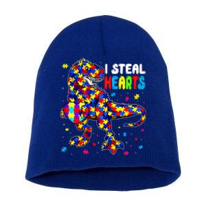 I Steal Hearts Trex Dinosaur Autism Awareness Cute Gift Short Acrylic Beanie