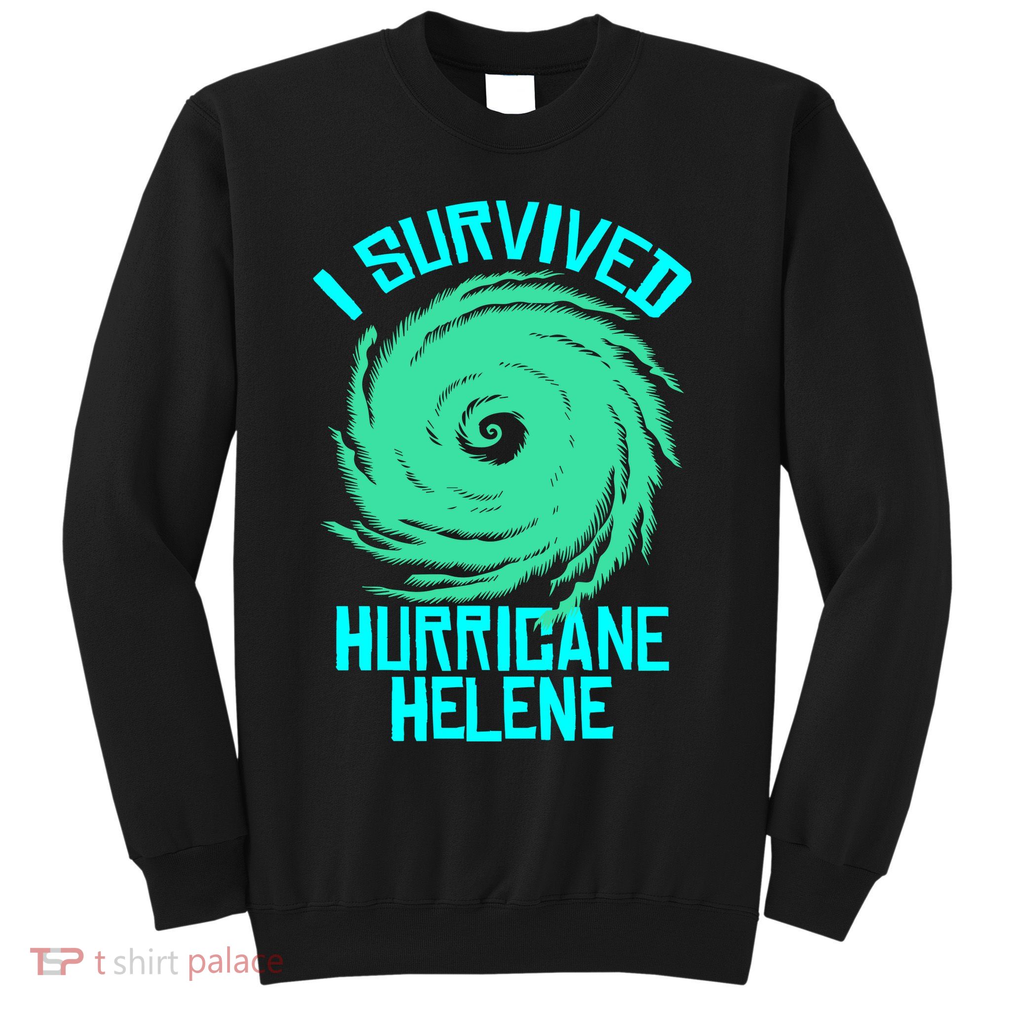 I Survived Hurricane Helene Florida 2024 Sweatshirt