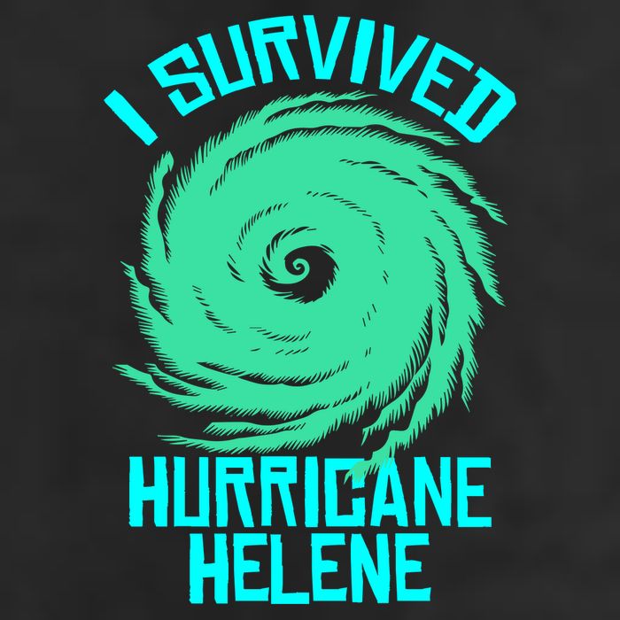 I Survived Hurricane Helene Florida 2024 11oz C Handle Ceramic Mug