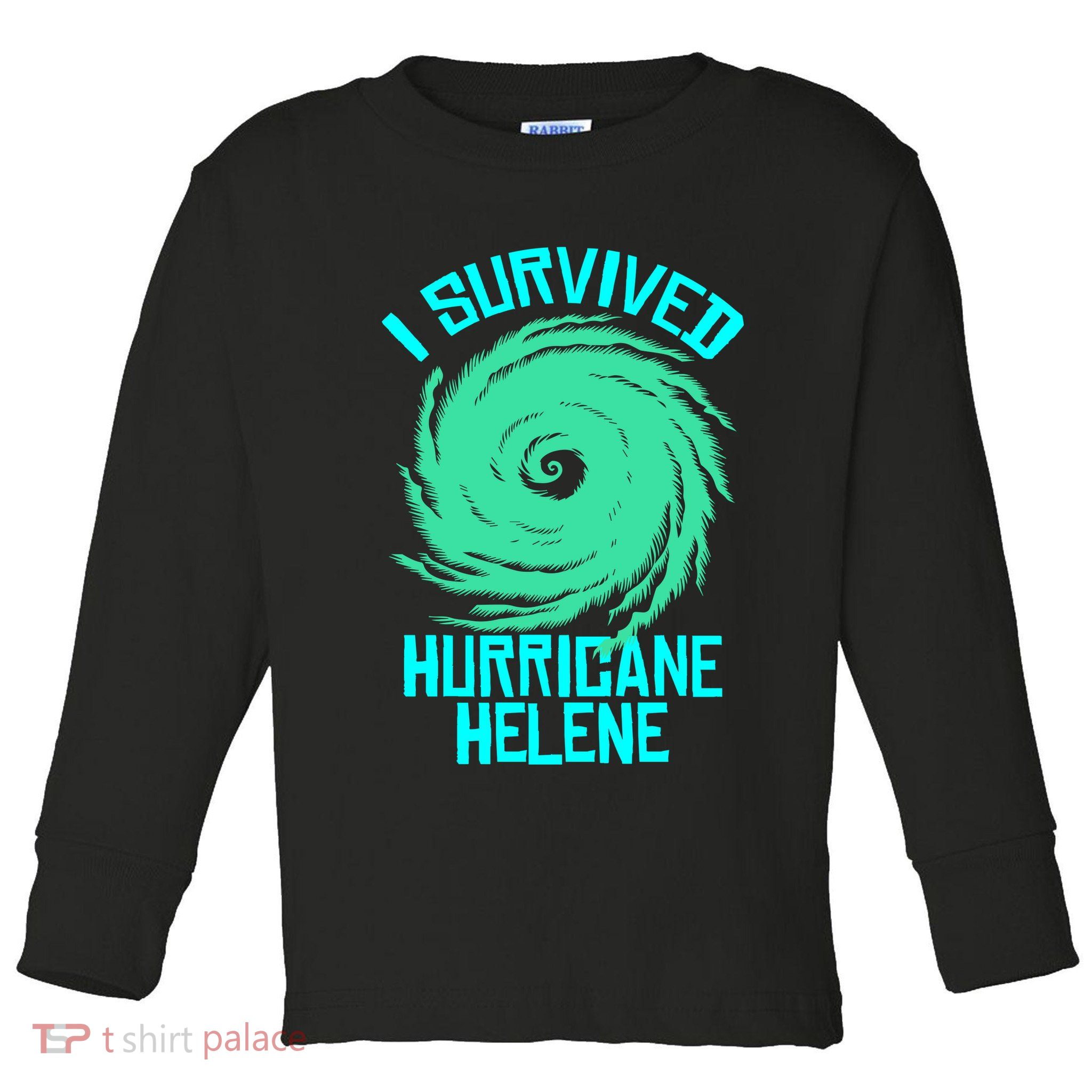 I Survived Hurricane Helene Florida 2024 Toddler Long Sleeve Shirt
