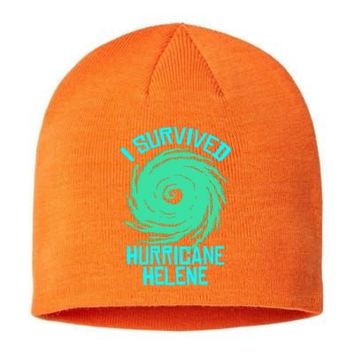 I Survived Hurricane Helene Florida 2024 Sustainable Beanie