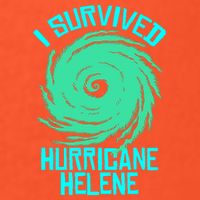 I Survived Hurricane Helene Florida 2024 Premium T-Shirt