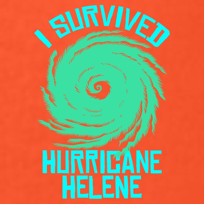 I Survived Hurricane Helene Florida 2024 Premium T-Shirt