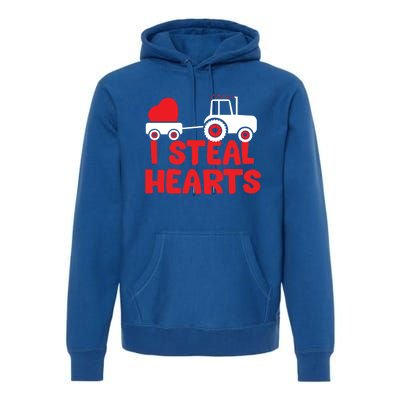 I Steal Hearts Dinosaur Valentines Day Toddle Gift Premium Hoodie