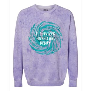 I Survived Hurricane Debby 2024 Colorblast Crewneck Sweatshirt