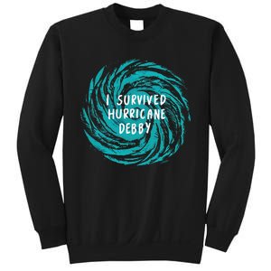 I Survived Hurricane Debby 2024 Sweatshirt